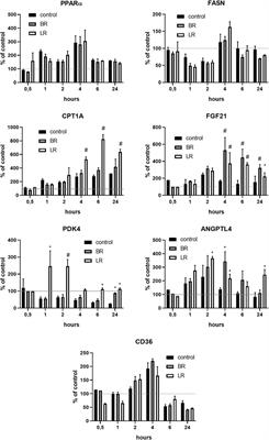 The Effects of Bilirubin and Lumirubin on Metabolic and Oxidative Stress Markers